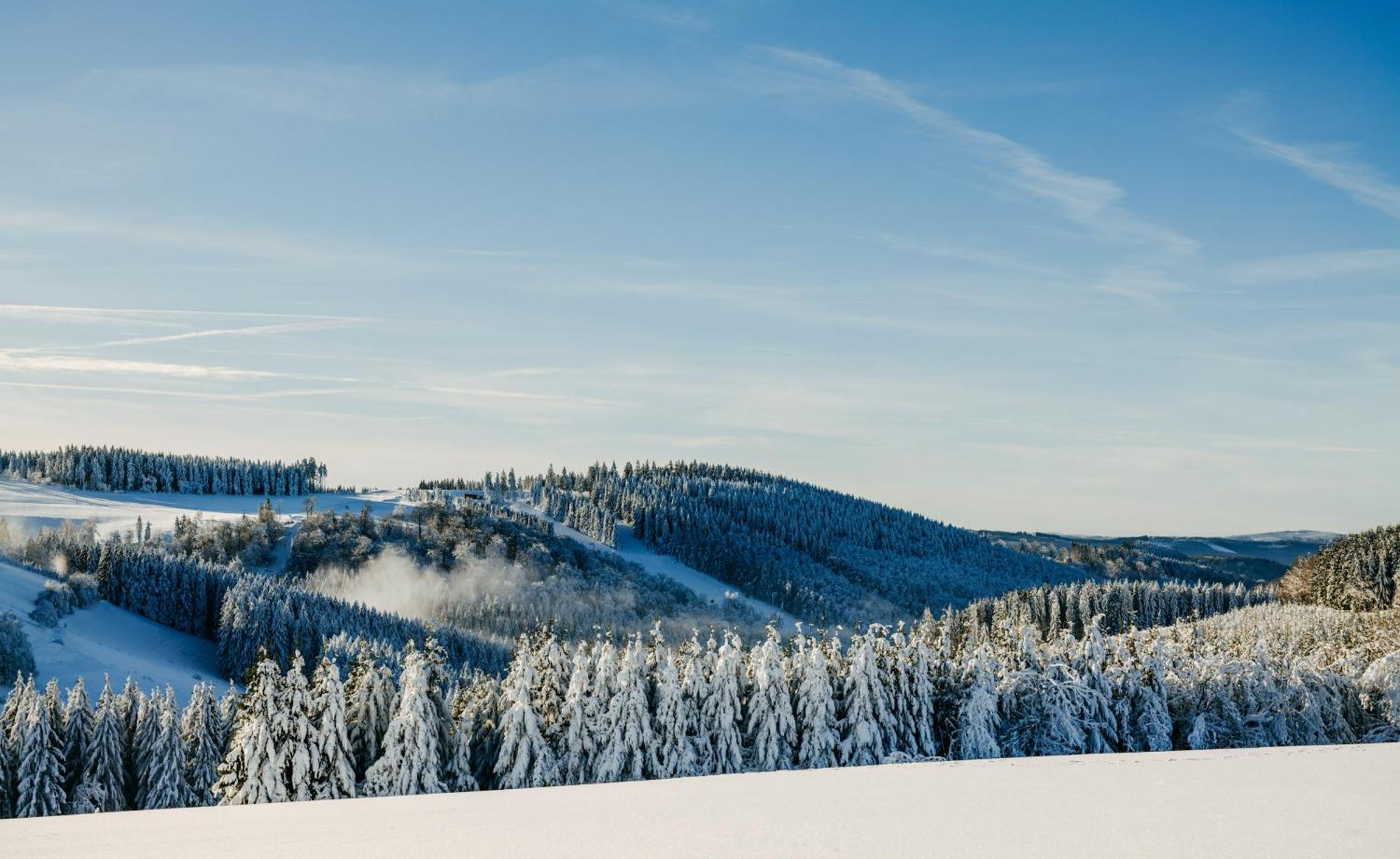 Romantik Berghotel Astenkrone Winterberg Eksteriør bilde