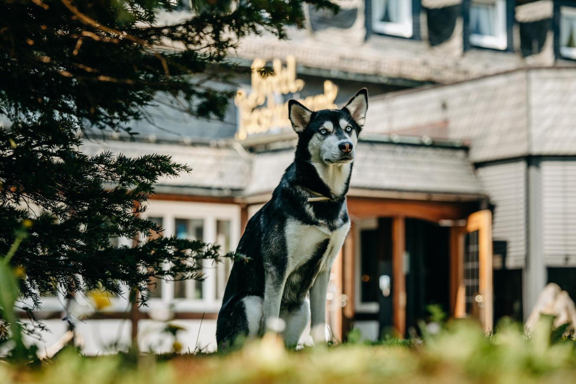 Romantik Berghotel Astenkrone Winterberg Eksteriør bilde